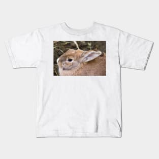 122014 cottontail Kids T-Shirt